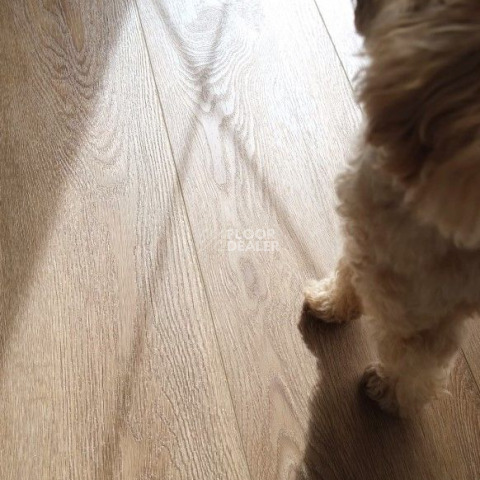 Alpine Floor Liberty Loose Lay LVT ECO 23-5 Макадамия фото 7 | FLOORDEALER